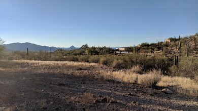 Open Hillside Lot