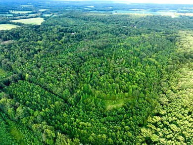 1 Rushing Ln, Lexington, TN 38351 - photo 5