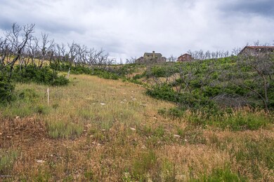 Lot 241 Landscape
