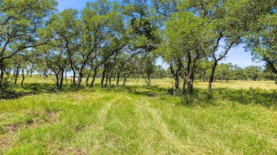 1094 Lindeman Ln, Blanco, TX 78606 - photo 5