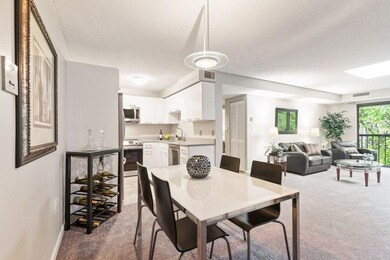 23 Elm St unit 304, Somerville, MA 02143 - photo 3