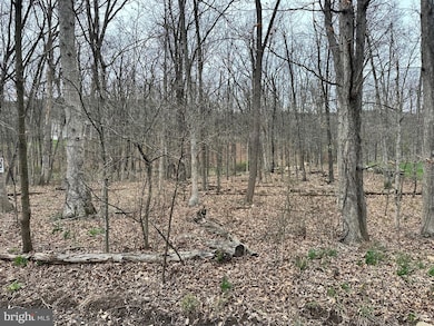 0 Timberlake Estates - Lot 24 unit WVMI2003320, New Creek, WV 26743 - photo 3