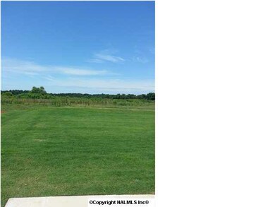 Fully sodded front and back yard.