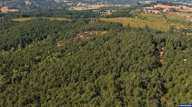 Parcel 2 S Kings Valley Hwy, Dallas, OR 97338 - photo 6