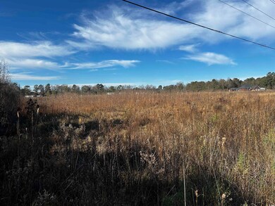 1.70 Acres-TBD State Road S-26-140, Loris, SC 29569 - photo 5
