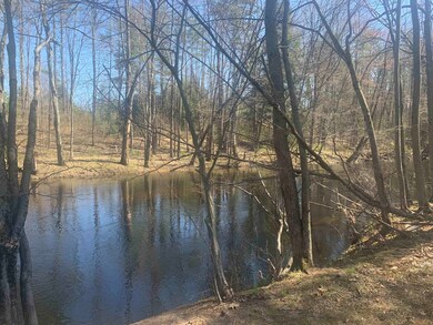 148 Daffodil Hill Ln, Rochester, NH 03868 - photo 2