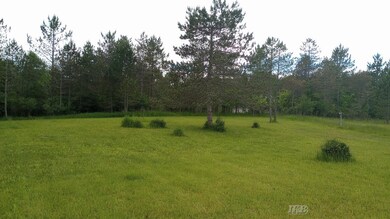 5403 Knights Way unit Lot 34 Knights Way, Butman Township, MI 48624 - photo 6