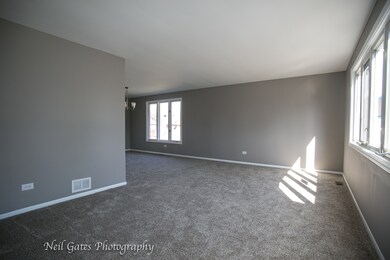 938 University Ave, Matteson, IL 60443 - photo 6