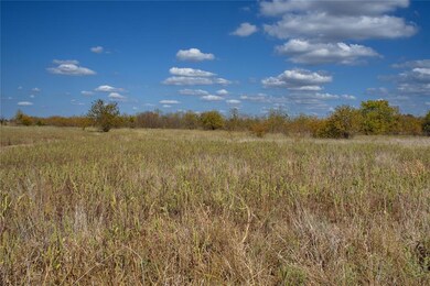 6 Freeny Valley Rd, Caddo, OK 74729 - photo 4