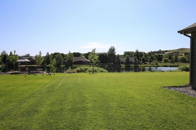 Back Yard V1
