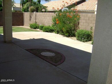 Amr Back yard