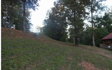 Additional View