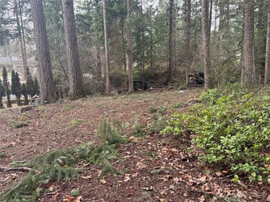 18145 Stony Ct SE, Yelm, WA 98597 - photo 5