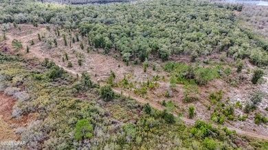 - Pine Log Rd, Chipley, FL 32428 - photo 3