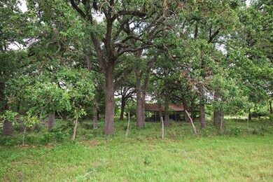 1035 Hollmig Ln, Fredericksburg, TX 78624 - photo 6