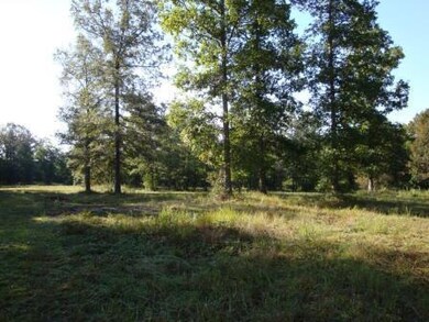 11-Woods - Freshly Bush-hogged (1)
