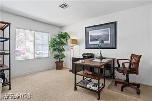 Downstairs bedroom or office