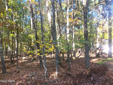 220 Tink Wig Dr, Lackawaxen Township, PA 18428 - photo 2