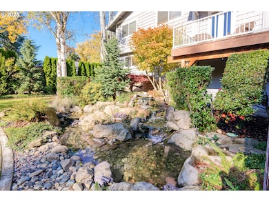 Water Feature
