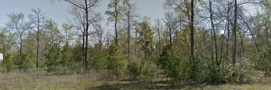 2218 Honea Egypt Rd, Magnolia, TX 77354 - photo 5