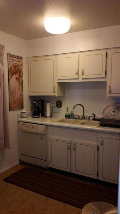 9530 W Appaloosa Dr, Sun City, AZ 85373 - photo 2