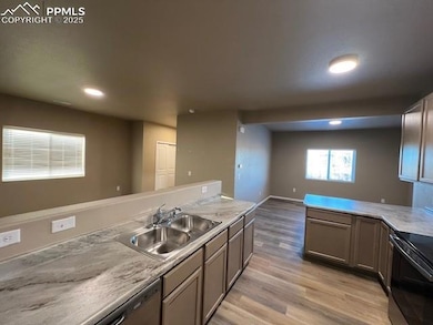 7806 Carrside Grove, Colorado Springs, CO 80951 - photo 7