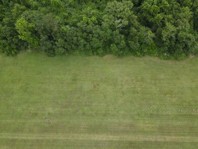 Lot # 7 Oak Bend Subdivision, Cairo, GA 39828 - photo 6