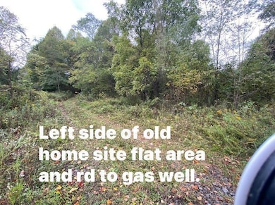 TBD Bandy Rd Whitaker Ridge Area, Bandy, VA 24602 - photo 2