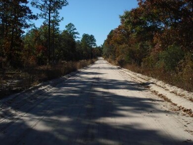 0 Crawfordville Ave, Crawfordville, FL 32327 - photo 5