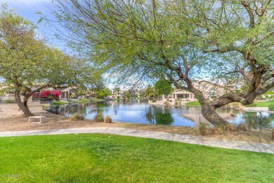 View from backyard