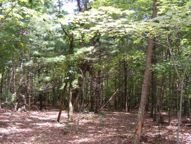 Wooded Tract