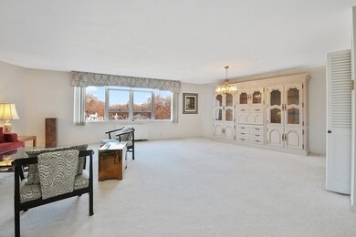 Imperial Towers unit 505, Chestnut Hill, MA 02467 - photo 5