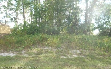 704 Lake Betty Dr, Lake Placid, FL 33852 - photo 3