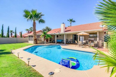 Amazing backyard