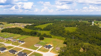 0 Mississippi 12, Steens, MS 39776 - photo 3