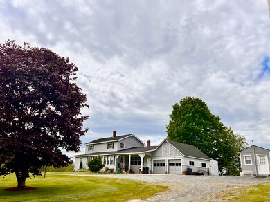 Big Maple on the Front Yard