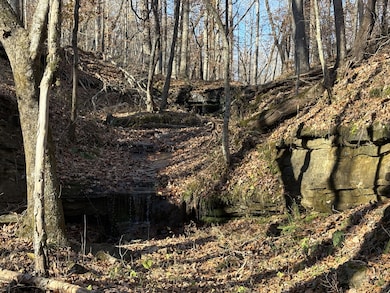 0 Pigpen Hollow Rd unit RTC3050203, Waynesboro, TN 38485 - photo 2