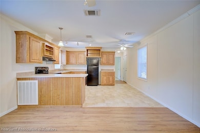 439 Highlands Lake Dr, Lake Placid, FL 33852 - photo 5