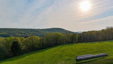 Wp 0 Rolling Meadows Ed unit LotWP000, Livingston Manor, NY 12758 - photo 5