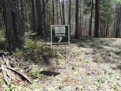 Lot 7 Acorn Dr unit Wildwood at Keowee, West Union, SC 29696 - photo 2