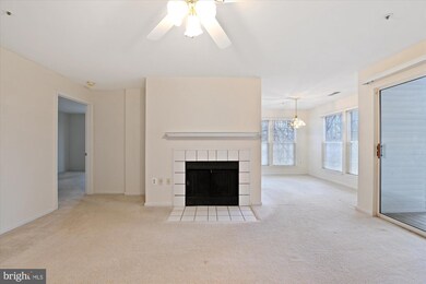 4406 Silverbrook Ln unit J103, Owings Mills, MD 21117 - photo 5