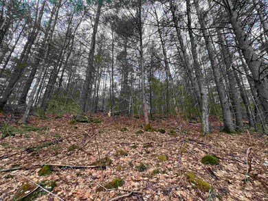 000 Grady Ln unit Lot 7, Hinsdale, NH 03451 - photo 3