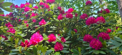 6 Old Port Rd, Kennebunk, ME 04043 - photo 5