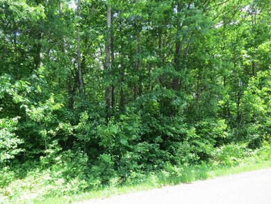 xxx Lily Lake Inn Rd, Webster, WI 54893 - photo 3