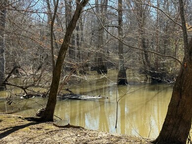 00 Shaw Chapel Rd, Brownsville, TN 38012 - photo 4