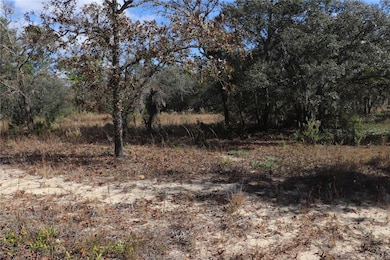 9097 N Peewee Point, Dunnellon, FL 34433 - photo 3