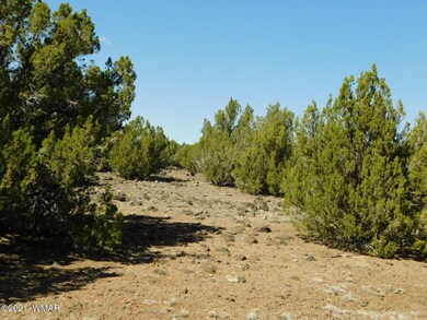 Sequoia Place Show Low, AZ, 85901