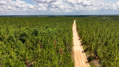 0 Beaver Dam Rd unit 25030820, Cassatt, SC 29032 - photo 3