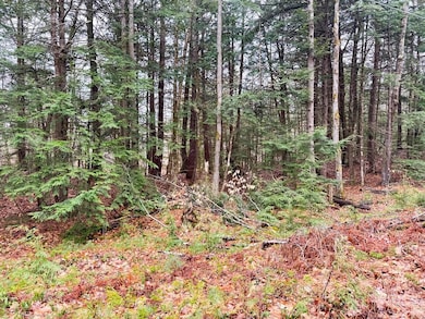 0000 Cedar Dr unit 11000, Gilmanton, NH 03237 - photo 2