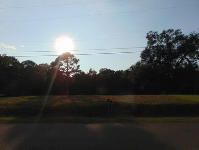 1003 Wooden St, Wesson, MS 39191 - photo 7